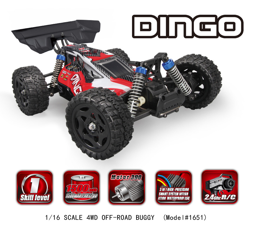 Dingo shop rc car